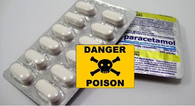 Conseils_chats_dangers_-2-1.jpg