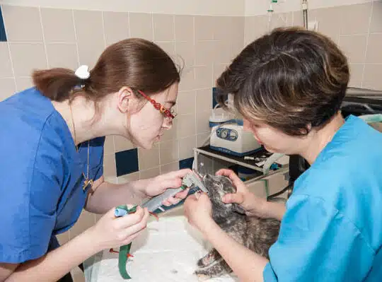 Intubation