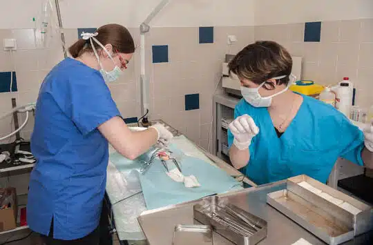 Chirurgie