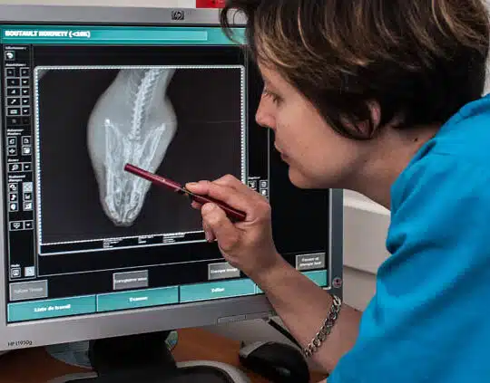 radiographie