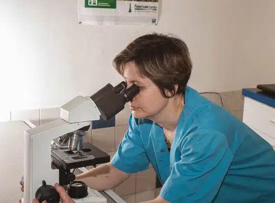 Microscope