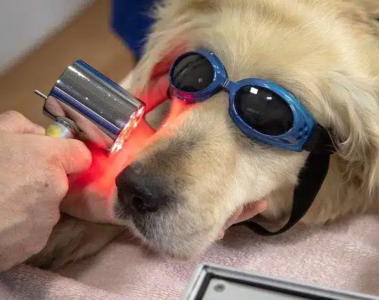Laser thérapeutique