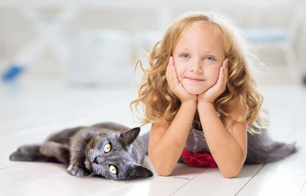 fille-chat-gris-relation-enfant-animal.jpg